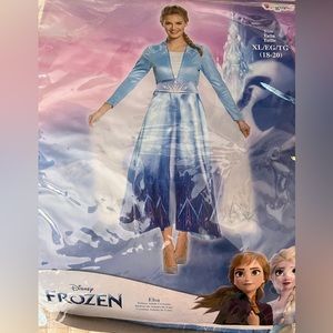 Adult XL Elsa Costume